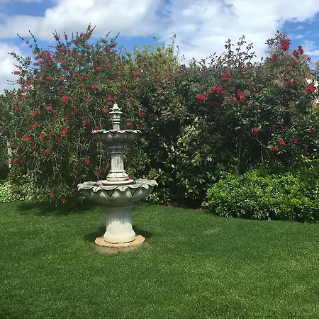 House In Flowers Apartment