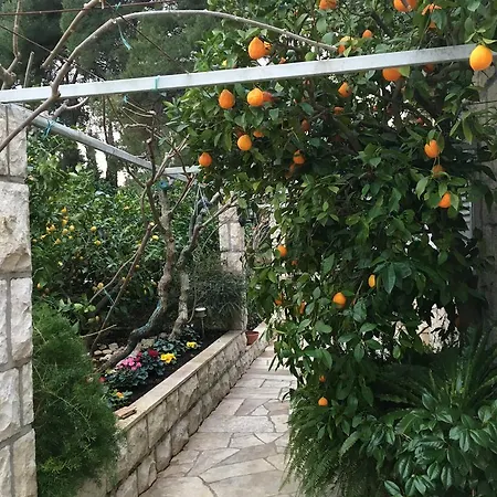House In Flowers Apartment