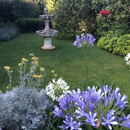 Apartment House In Flowers