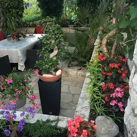Apartment House In Flowers Korcula Town