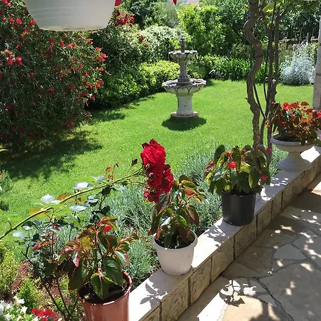 House In Flowers Apartment *