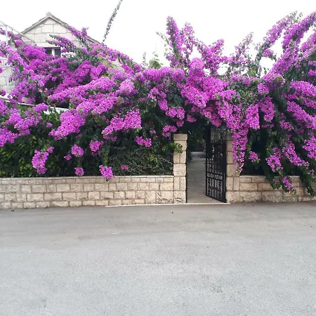 Apartment House In Flowers *